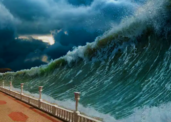 19. Corrente do Golfo: O Alerta Vermelho para o Colapso Climático.