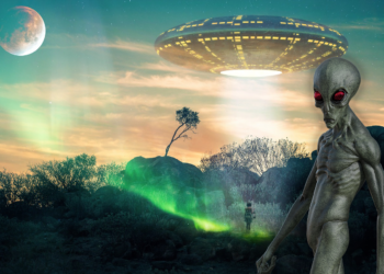 29. E.T. de Varginha foi Real